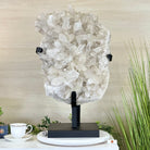 Super Quality Clear Quartz Cluster, Metal Stand, 84.5 lbs & 26.7" Tall 5495 - 0103 - Brazil GemsBrazil GemsSuper Quality Clear Quartz Cluster, Metal Stand, 84.5 lbs & 26.7" Tall 5495 - 0103Clusters on Fixed Bases5495 - 0103