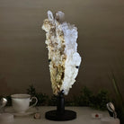 Super Quality Clear Quartz Cluster on a Rotating Metal Base, 11.7 lbs & 18" Tall 5495R - 004 - Brazil GemsBrazil GemsSuper Quality Clear Quartz Cluster on a Rotating Metal Base, 11.7 lbs & 18" Tall 5495R - 004Clusters on Rotating Bases5495R - 004