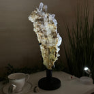 Super Quality Clear Quartz Cluster on a Rotating Metal Base, 11.7 lbs & 18" Tall 5495R - 004 - Brazil GemsBrazil GemsSuper Quality Clear Quartz Cluster on a Rotating Metal Base, 11.7 lbs & 18" Tall 5495R - 004Clusters on Rotating Bases5495R - 004