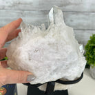 Super Quality Clear Quartz Crystal Cluster, metal base, 8.4 lbs & 11.1" Tall #5495-0077 by Brazil Gems® - Brazil GemsBrazil GemsSuper Quality Clear Quartz Crystal Cluster, metal base, 8.4 lbs & 11.1" Tall #5495-0077 by Brazil Gems®Clusters on Fixed Bases5495-0077