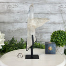 Super Quality Clear Quartz Point on a Metal Stand, 3 lbs & 12.1" Tall #3121CQ-003 - Brazil GemsBrazil GemsSuper Quality Clear Quartz Point on a Metal Stand, 3 lbs & 12.1" Tall #3121CQ-003Crystal Points3121CQ-003