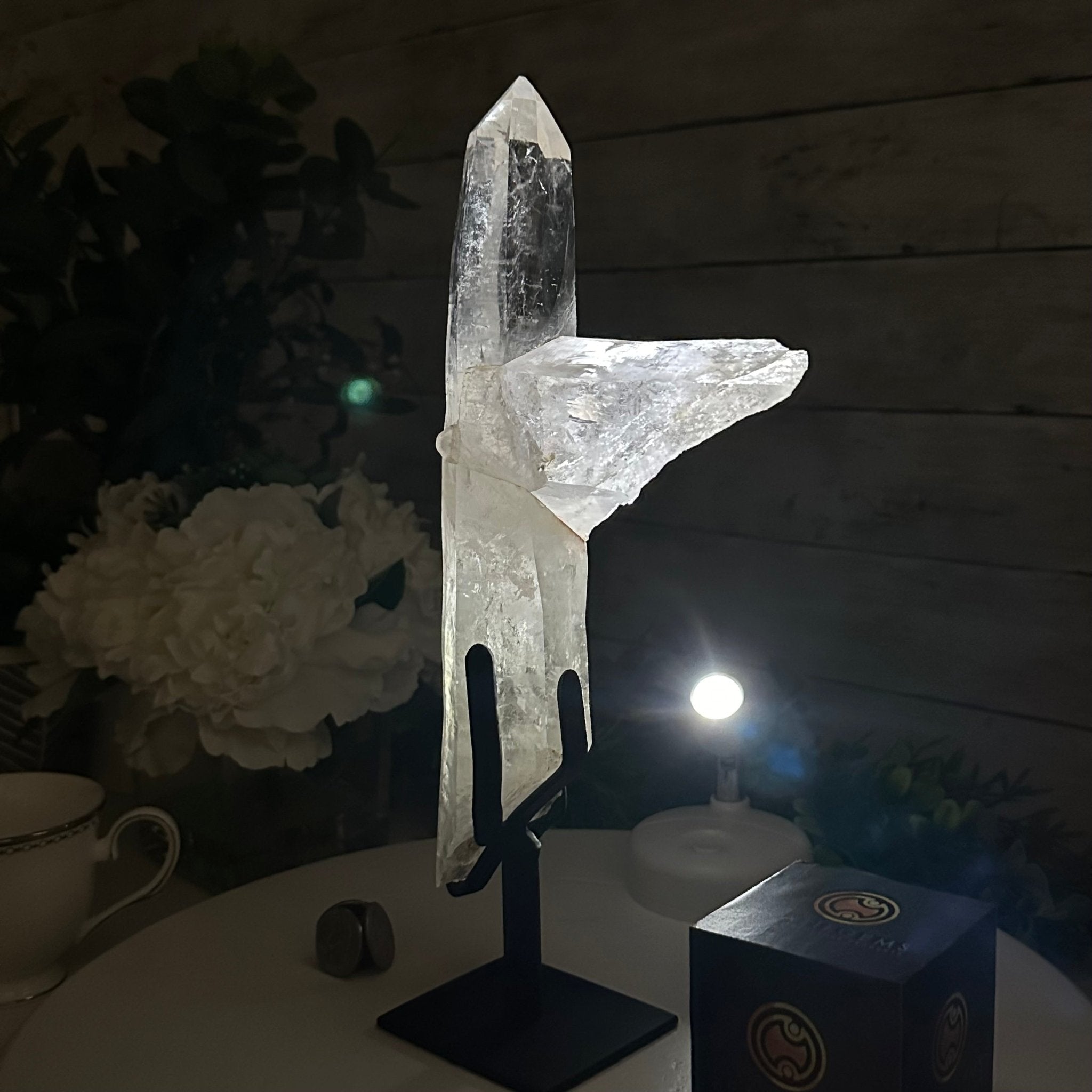 Super Quality Clear Quartz Point on a Metal Stand, 3 lbs & 12.1" Tall #3121CQ-003 - Brazil GemsBrazil GemsSuper Quality Clear Quartz Point on a Metal Stand, 3 lbs & 12.1" Tall #3121CQ-003Crystal Points3121CQ-003
