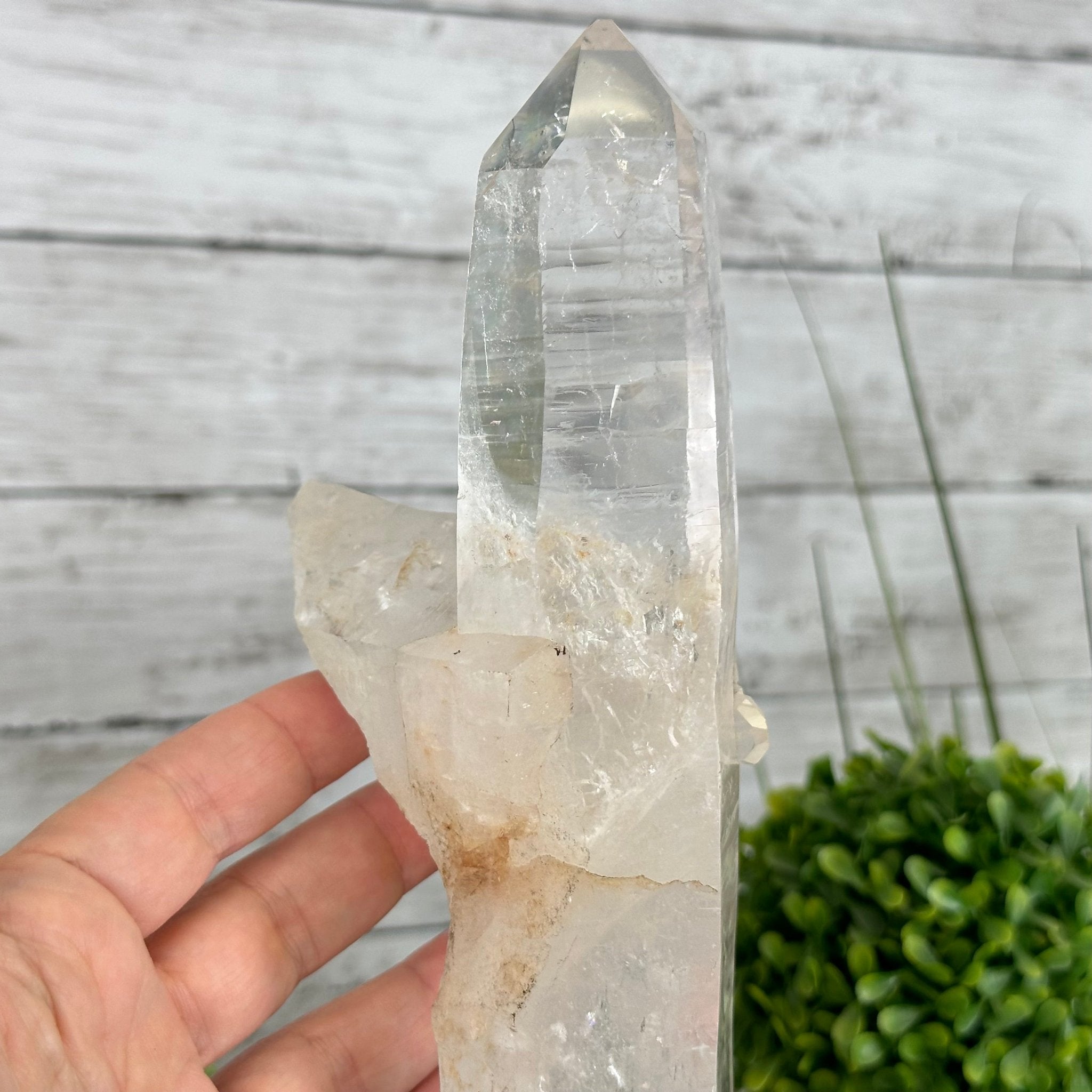 Super Quality Clear Quartz Point on a Metal Stand, 3 lbs & 12.1" Tall #3121CQ-003 - Brazil GemsBrazil GemsSuper Quality Clear Quartz Point on a Metal Stand, 3 lbs & 12.1" Tall #3121CQ-003Crystal Points3121CQ-003