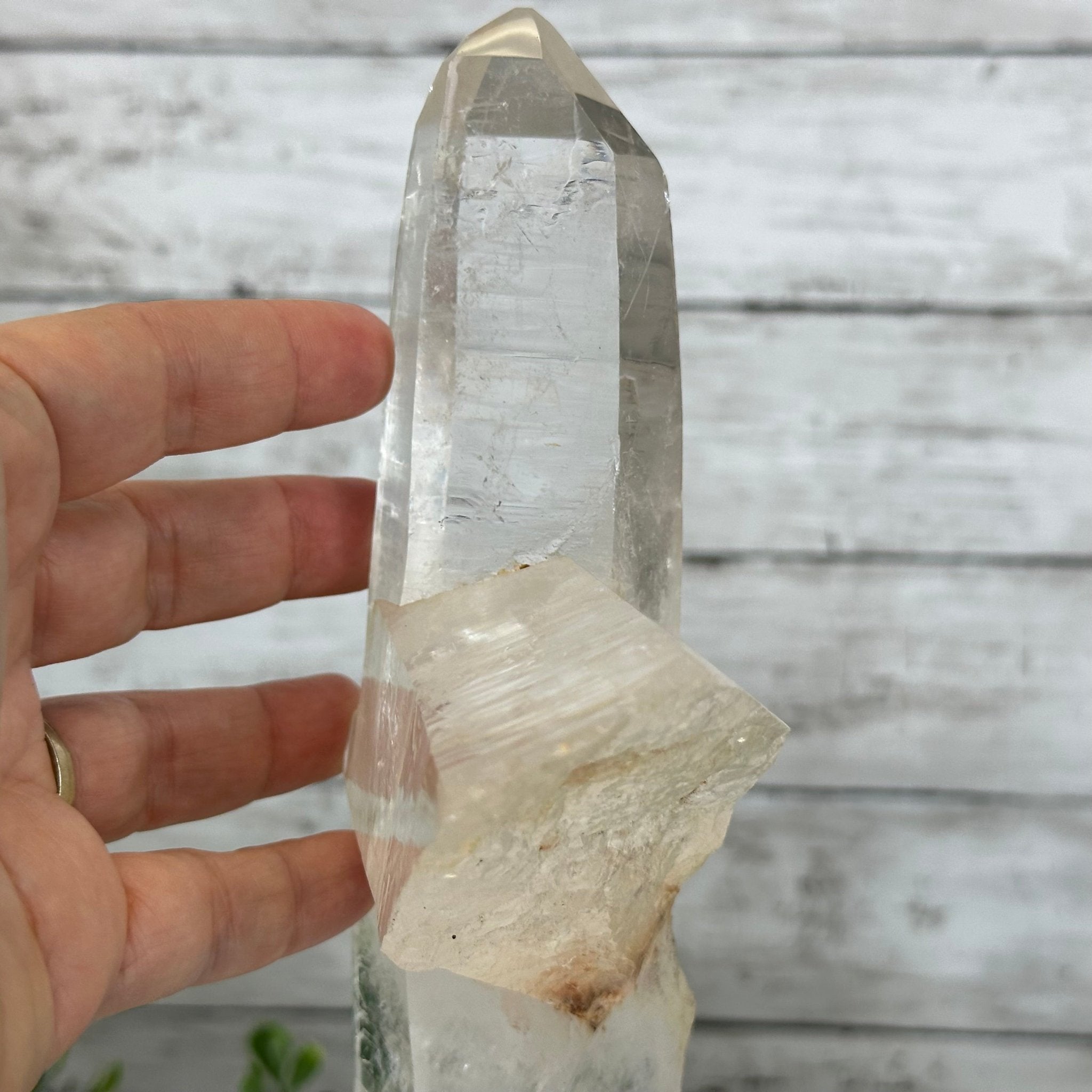 Super Quality Clear Quartz Point on a Metal Stand, 3 lbs & 12.1" Tall #3121CQ-003 - Brazil GemsBrazil GemsSuper Quality Clear Quartz Point on a Metal Stand, 3 lbs & 12.1" Tall #3121CQ-003Crystal Points3121CQ-003