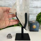 Super Quality Clear Quartz Point on a Metal Stand, 5.5 lbs & 13.5" Tall #3121CQ-008 - Brazil GemsBrazil GemsSuper Quality Clear Quartz Point on a Metal Stand, 5.5 lbs & 13.5" Tall #3121CQ-008Crystal Points3121CQ-008
