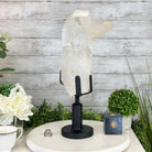 Super Quality Clear Quartz Point on a Rotating Stand, 15.9 lbs & 17.8" Tall #3120CQ-003 - Brazil GemsBrazil GemsSuper Quality Clear Quartz Point on a Rotating Stand, 15.9 lbs & 17.8" Tall #3120CQ-003Crystal Points3120CQ-003