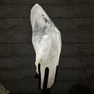Super Quality Clear Quartz Point on a Rotating Stand, 16.5 lbs & 21.6" Tall #3120CQ-004 - Brazil GemsBrazil GemsSuper Quality Clear Quartz Point on a Rotating Stand, 16.5 lbs & 21.6" Tall #3120CQ-004Crystal Points3120CQ-004