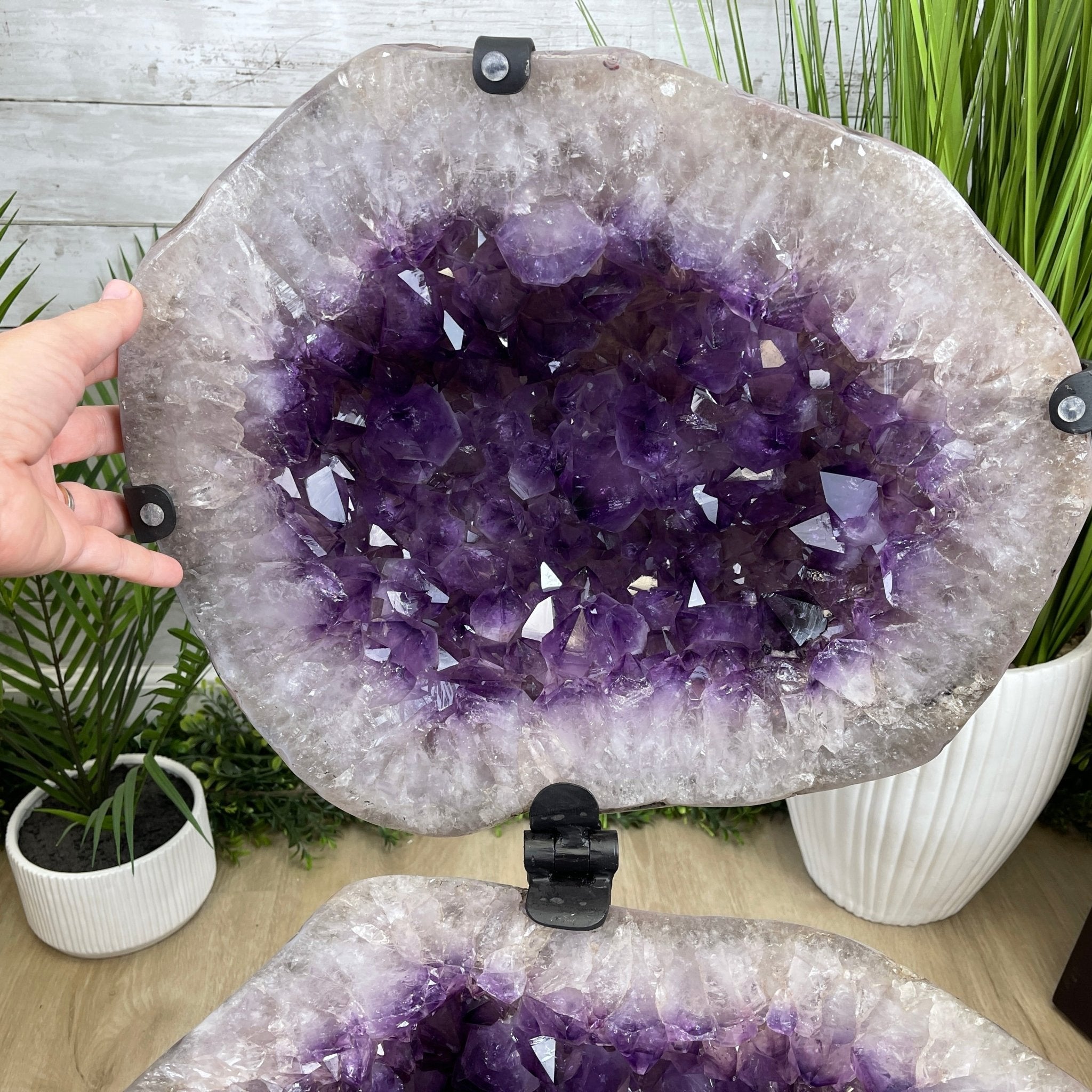 Super Quality Polished Amethyst "Jewelry Box", Clam Shell style Lid, 187.4 lbs & 24" tall, Model #5656-0007 by Brazil Gems - Brazil GemsBrazil GemsSuper Quality Polished Amethyst "Jewelry Box", Clam Shell style Lid, 187.4 lbs & 24" tall, Model #5656-0007 by Brazil GemsGeode Jewelry Boxes5656-0007