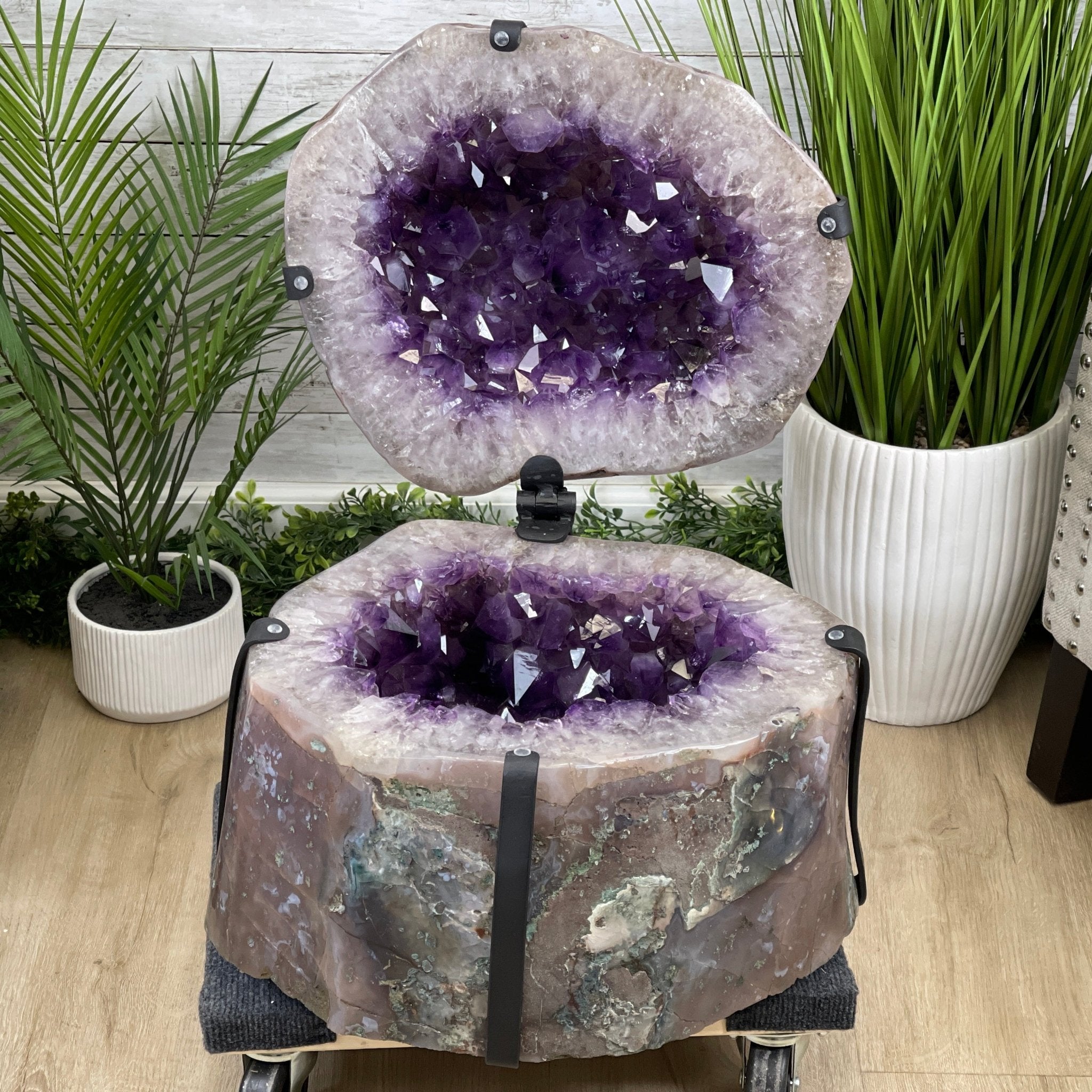 Super Quality Polished Amethyst "Jewelry Box", Clam Shell style Lid, 187.4 lbs & 24" tall, Model #5656-0007 by Brazil Gems - Brazil GemsBrazil GemsSuper Quality Polished Amethyst "Jewelry Box", Clam Shell style Lid, 187.4 lbs & 24" tall, Model #5656-0007 by Brazil GemsGeode Jewelry Boxes5656-0007