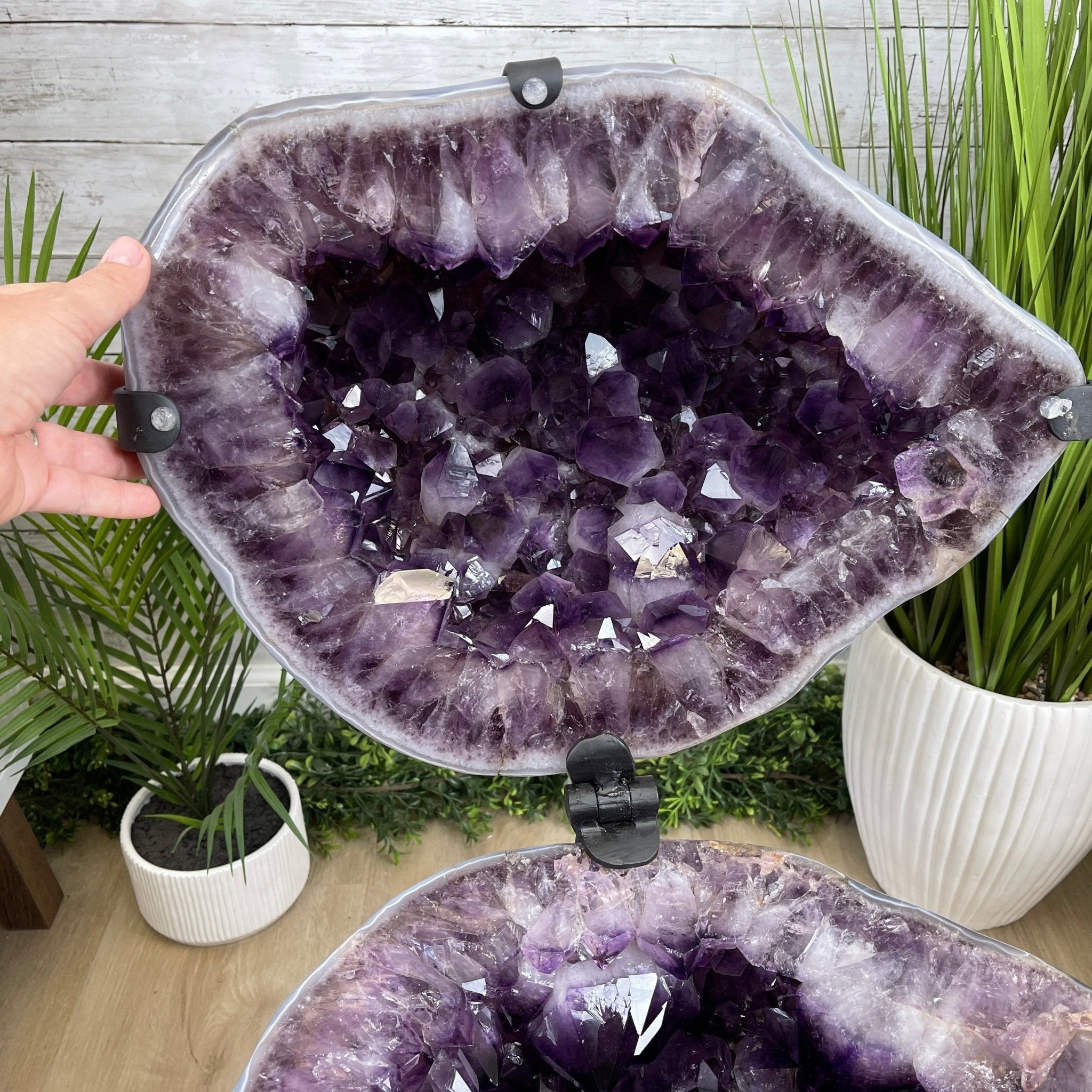 Super Quality Polished Amethyst "Jewelry Box", Clam Shell style Lid, 189.6 lbs & 25.5" tall, Model #5656-0008 by Brazil Gems - Brazil GemsBrazil GemsSuper Quality Polished Amethyst "Jewelry Box", Clam Shell style Lid, 189.6 lbs & 25.5" tall, Model #5656-0008 by Brazil GemsGeode Jewelry Boxes5656-0008