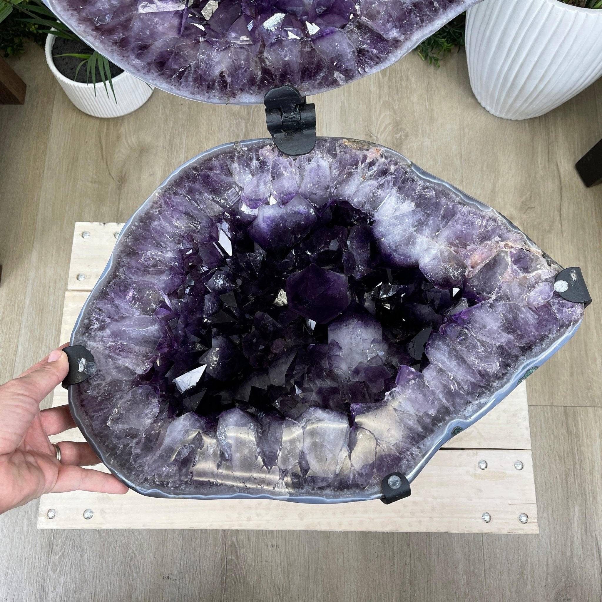 Super Quality Polished Amethyst "Jewelry Box", Clam Shell style Lid, 189.6 lbs & 25.5" tall, Model #5656-0008 by Brazil Gems - Brazil GemsBrazil GemsSuper Quality Polished Amethyst "Jewelry Box", Clam Shell style Lid, 189.6 lbs & 25.5" tall, Model #5656-0008 by Brazil GemsGeode Jewelry Boxes5656-0008