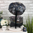 Super Quality Polished Amethyst "Jewelry Box", Clam Shell style Lid, 63 lbs & 20" tall, Model #5656-0014 by Brazil Gems - Brazil GemsBrazil GemsSuper Quality Polished Amethyst "Jewelry Box", Clam Shell style Lid, 63 lbs & 20" tall, Model #5656-0014 by Brazil GemsGeode Jewelry Boxes5656-0014