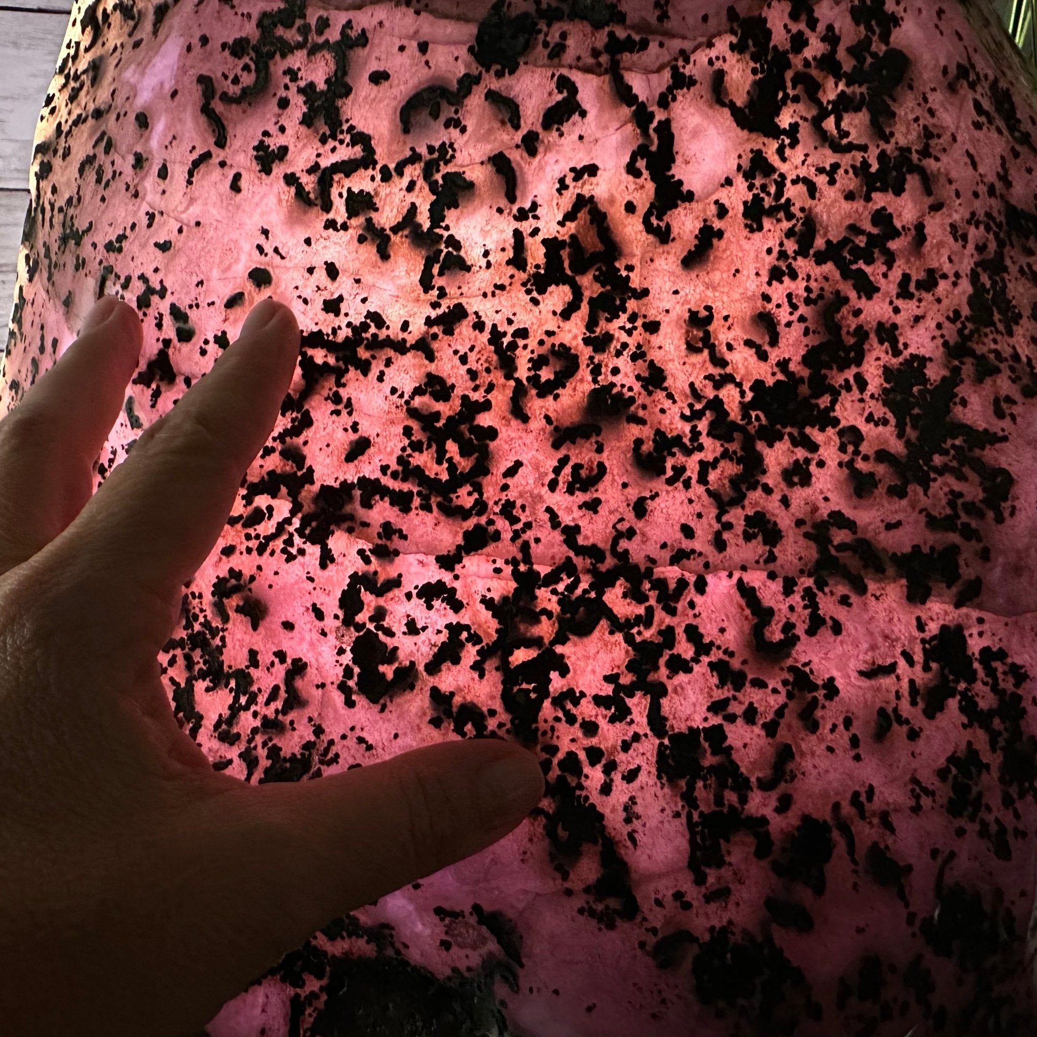 Super Quality Polished Brazilian Amethyst Cathedral, 140.1 lbs & 24.6" tall Model #5602-0201 by Brazil Gems - Brazil GemsBrazil GemsSuper Quality Polished Brazilian Amethyst Cathedral, 140.1 lbs & 24.6" tall Model #5602-0201 by Brazil GemsPolished Cathedrals5602-0201