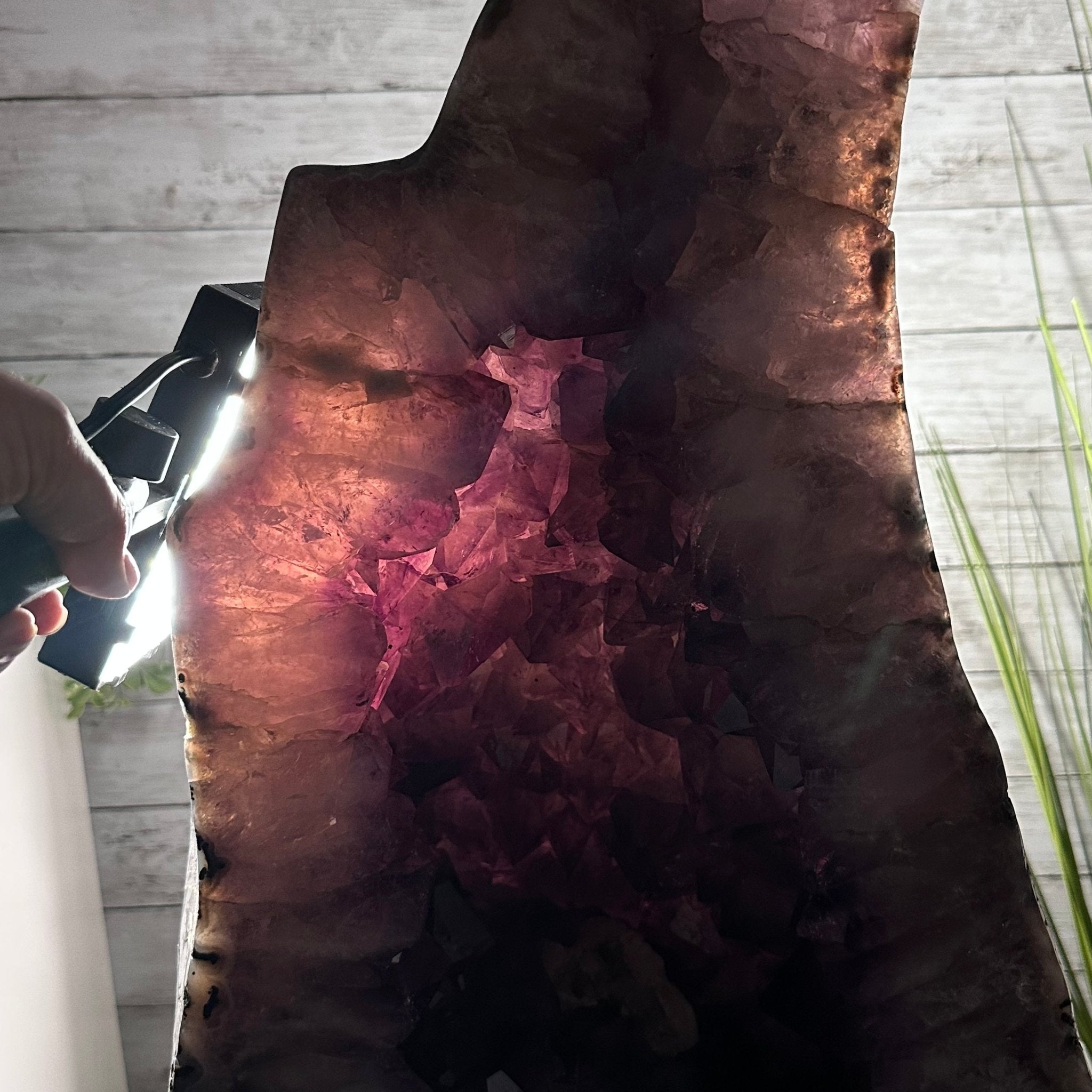 Super Quality Polished Brazilian Amethyst Cathedral, 140.1 lbs & 24.6" tall Model #5602-0201 by Brazil Gems - Brazil GemsBrazil GemsSuper Quality Polished Brazilian Amethyst Cathedral, 140.1 lbs & 24.6" tall Model #5602-0201 by Brazil GemsPolished Cathedrals5602-0201