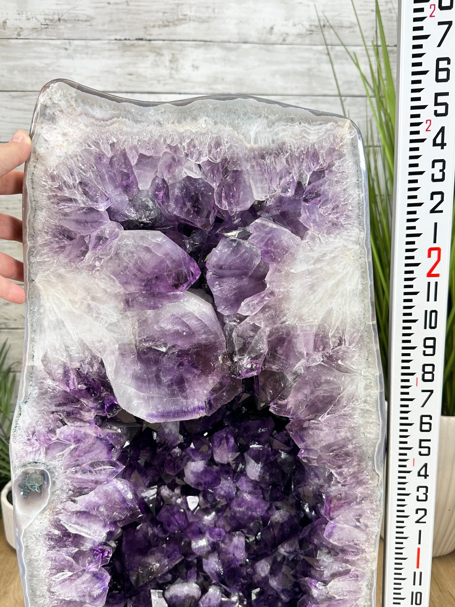 Super Quality Polished Brazilian Amethyst Cathedral, 184.3 lbs & 29.3" tall Model #5602-0082 by Brazil Gems - Brazil GemsBrazil GemsSuper Quality Polished Brazilian Amethyst Cathedral, 184.3 lbs & 29.3" tall Model #5602-0082 by Brazil GemsPolished Cathedrals5602-0082