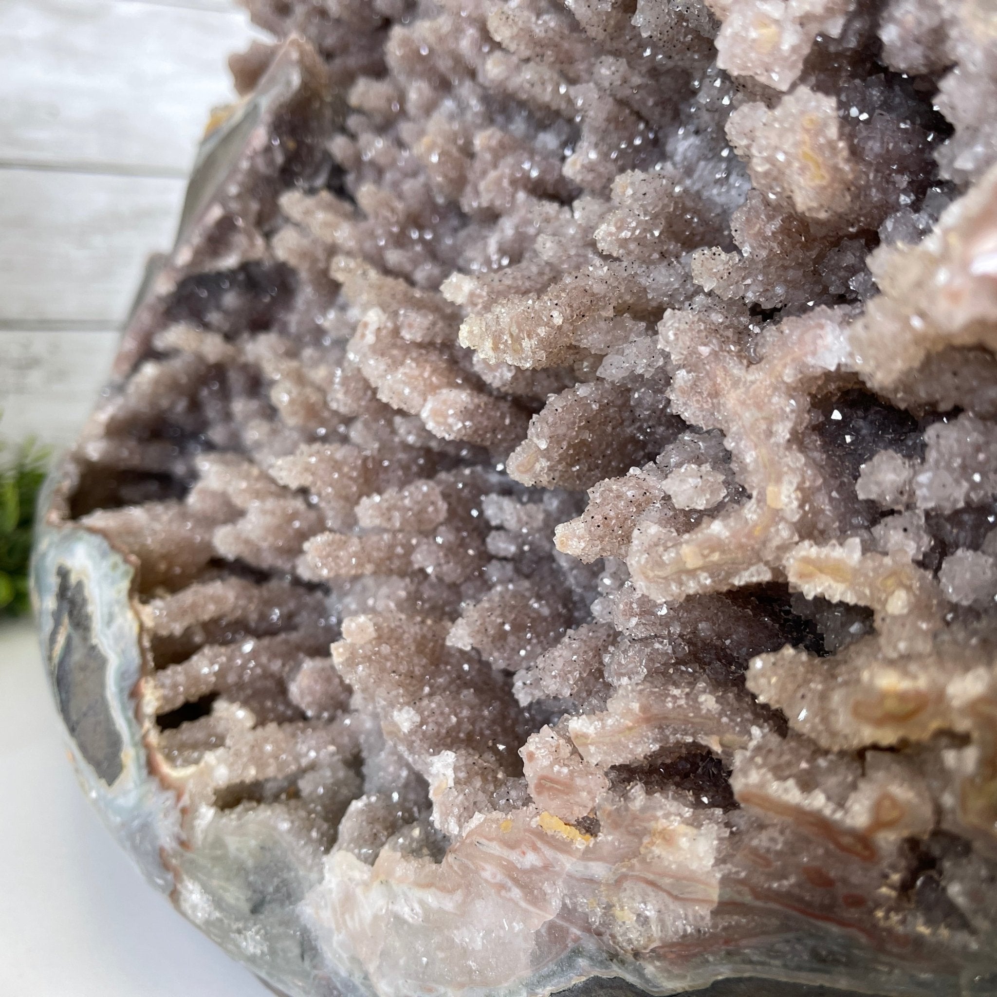 Super Quality Unique Uruguayan Amethyst Geode, 10.75” tall & 70 lbs #5520-0048 by Brazil Gems - Brazil GemsBrazil GemsSuper Quality Unique Uruguayan Amethyst Geode, 10.75” tall & 70 lbs #5520-0048 by Brazil GemsClusters: Unique & Freeform5520-0048