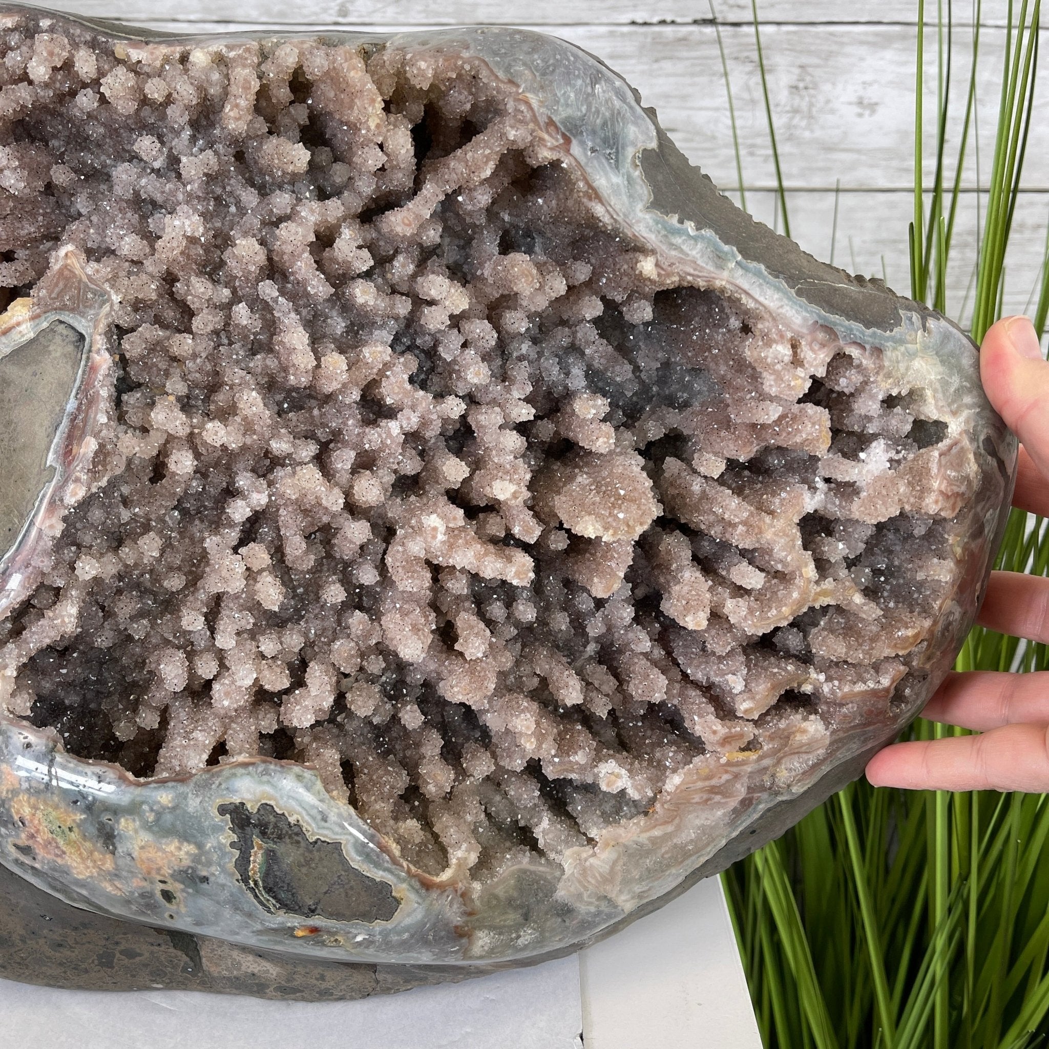 Super Quality Unique Uruguayan Amethyst Geode, 10.75” tall & 70 lbs #5520-0048 by Brazil Gems - Brazil GemsBrazil GemsSuper Quality Unique Uruguayan Amethyst Geode, 10.75” tall & 70 lbs #5520-0048 by Brazil GemsClusters: Unique & Freeform5520-0048