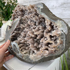Super Quality Unique Uruguayan Amethyst Geode, 10.75” tall & 70 lbs #5520-0048 by Brazil Gems - Brazil GemsBrazil GemsSuper Quality Unique Uruguayan Amethyst Geode, 10.75” tall & 70 lbs #5520-0048 by Brazil GemsClusters: Unique & Freeform5520-0048