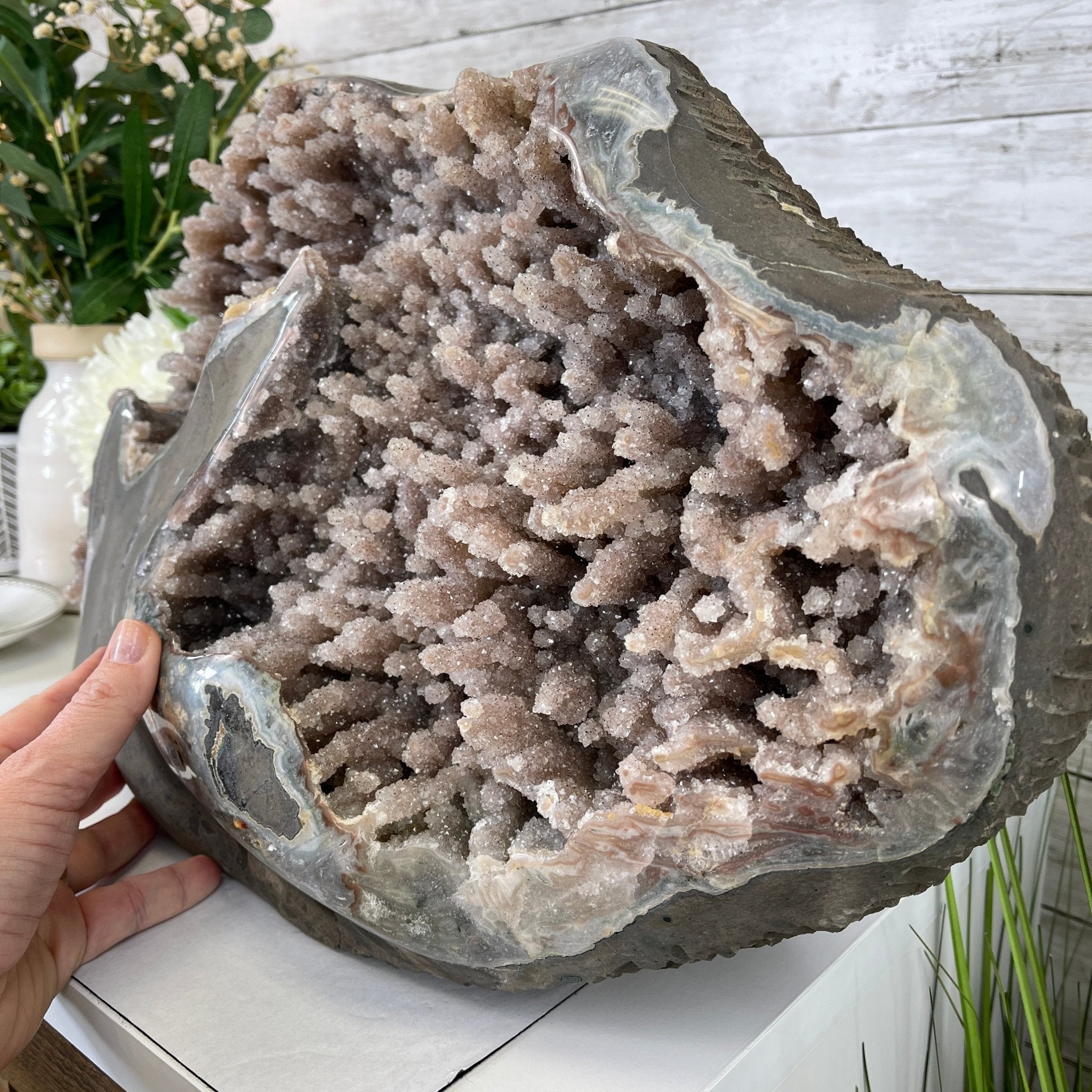 Super Quality Unique Uruguayan Amethyst Geode, 10.75” tall & 70 lbs #5520-0048 by Brazil Gems - Brazil GemsBrazil GemsSuper Quality Unique Uruguayan Amethyst Geode, 10.75” tall & 70 lbs #5520-0048 by Brazil GemsClusters: Unique & Freeform5520-0048