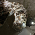 Super Quality Unique Uruguayan Amethyst Geode, 10.75” tall & 70 lbs #5520-0048 by Brazil Gems - Brazil GemsBrazil GemsSuper Quality Unique Uruguayan Amethyst Geode, 10.75” tall & 70 lbs #5520-0048 by Brazil GemsClusters: Unique & Freeform5520-0048
