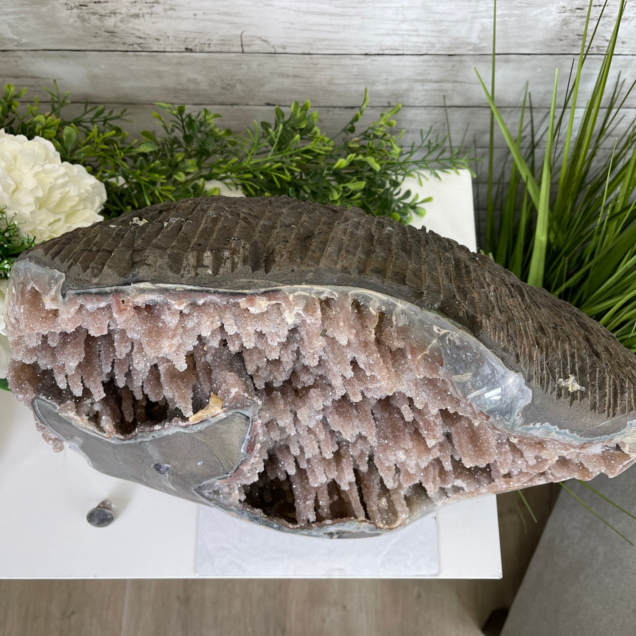Super Quality Unique Uruguayan Amethyst Geode, 10.75” tall & 70 lbs #5520-0048 by Brazil Gems - Brazil GemsBrazil GemsSuper Quality Unique Uruguayan Amethyst Geode, 10.75” tall & 70 lbs #5520-0048 by Brazil GemsClusters: Unique & Freeform5520-0048