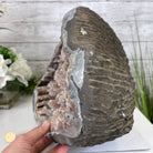 Super Quality Unique Uruguayan Amethyst Geode, 10.75” tall & 70 lbs #5520-0048 by Brazil Gems - Brazil GemsBrazil GemsSuper Quality Unique Uruguayan Amethyst Geode, 10.75” tall & 70 lbs #5520-0048 by Brazil GemsClusters: Unique & Freeform5520-0048