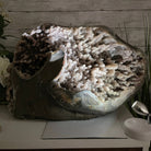 Super Quality Unique Uruguayan Amethyst Geode, 10.75” tall & 70 lbs #5520-0048 by Brazil Gems - Brazil GemsBrazil GemsSuper Quality Unique Uruguayan Amethyst Geode, 10.75” tall & 70 lbs #5520-0048 by Brazil GemsClusters: Unique & Freeform5520-0048