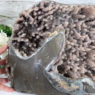 Super Quality Unique Uruguayan Amethyst Geode, 10.75” tall & 70 lbs #5520-0048 by Brazil Gems - Brazil GemsBrazil GemsSuper Quality Unique Uruguayan Amethyst Geode, 10.75” tall & 70 lbs #5520-0048 by Brazil GemsClusters: Unique & Freeform5520-0048
