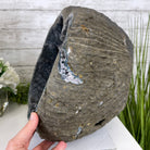 Super Quality Unique Uruguayan Amethyst Geode, 12.5” tall & 68.5 lbs #5520-0047 by Brazil Gems - Brazil GemsBrazil GemsSuper Quality Unique Uruguayan Amethyst Geode, 12.5” tall & 68.5 lbs #5520-0047 by Brazil GemsClusters: Unique & Freeform5520-0047