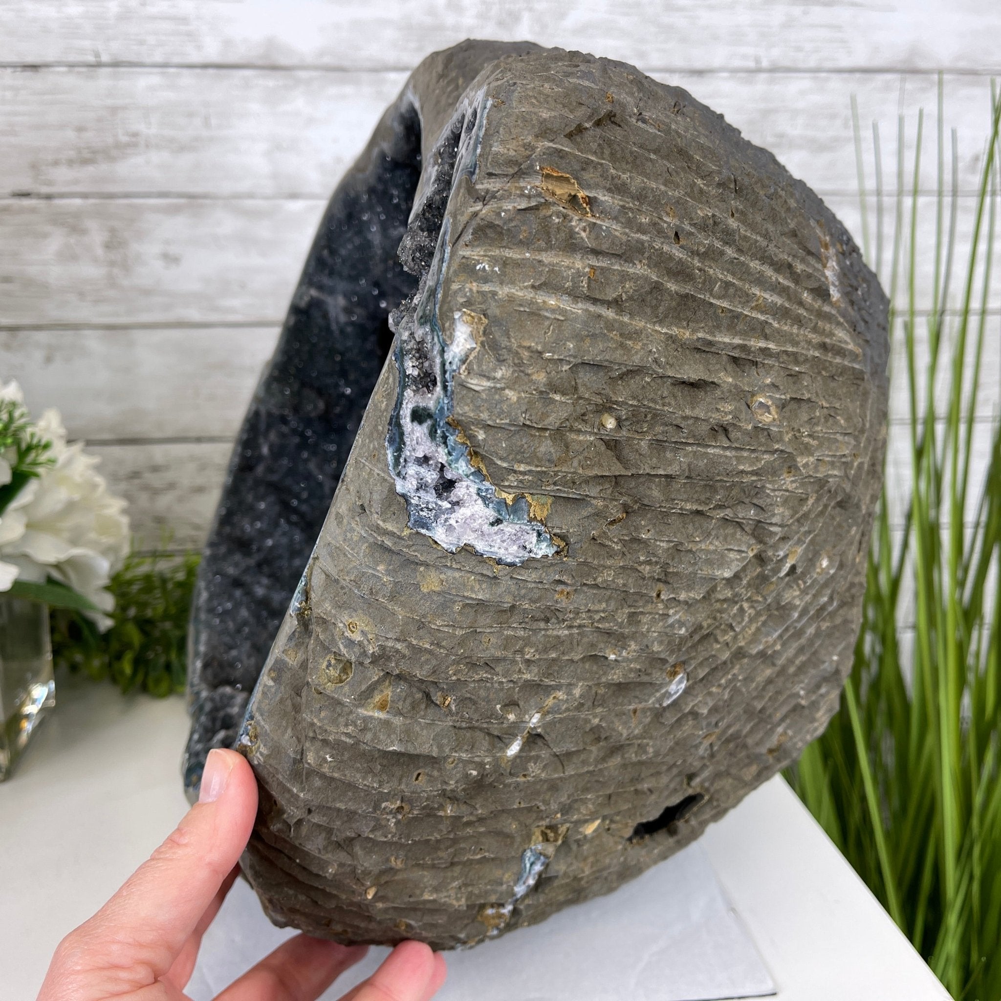 Super Quality Unique Uruguayan Amethyst Geode, 12.5” tall & 68.5 lbs #5520-0047 by Brazil Gems - Brazil GemsBrazil GemsSuper Quality Unique Uruguayan Amethyst Geode, 12.5” tall & 68.5 lbs #5520-0047 by Brazil GemsClusters: Unique & Freeform5520-0047