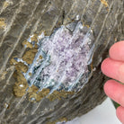 Super Quality Unique Uruguayan Amethyst Geode, 12.5” tall & 68.5 lbs #5520-0047 by Brazil Gems - Brazil GemsBrazil GemsSuper Quality Unique Uruguayan Amethyst Geode, 12.5” tall & 68.5 lbs #5520-0047 by Brazil GemsClusters: Unique & Freeform5520-0047