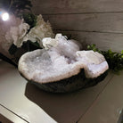 Super Quality Unique Uruguayan Amethyst Geode, 5.5” tall & 13.5 lbs #5520-0039 by Brazil Gems - Brazil GemsBrazil GemsSuper Quality Unique Uruguayan Amethyst Geode, 5.5” tall & 13.5 lbs #5520-0039 by Brazil GemsClusters: Unique & Freeform5520-0039