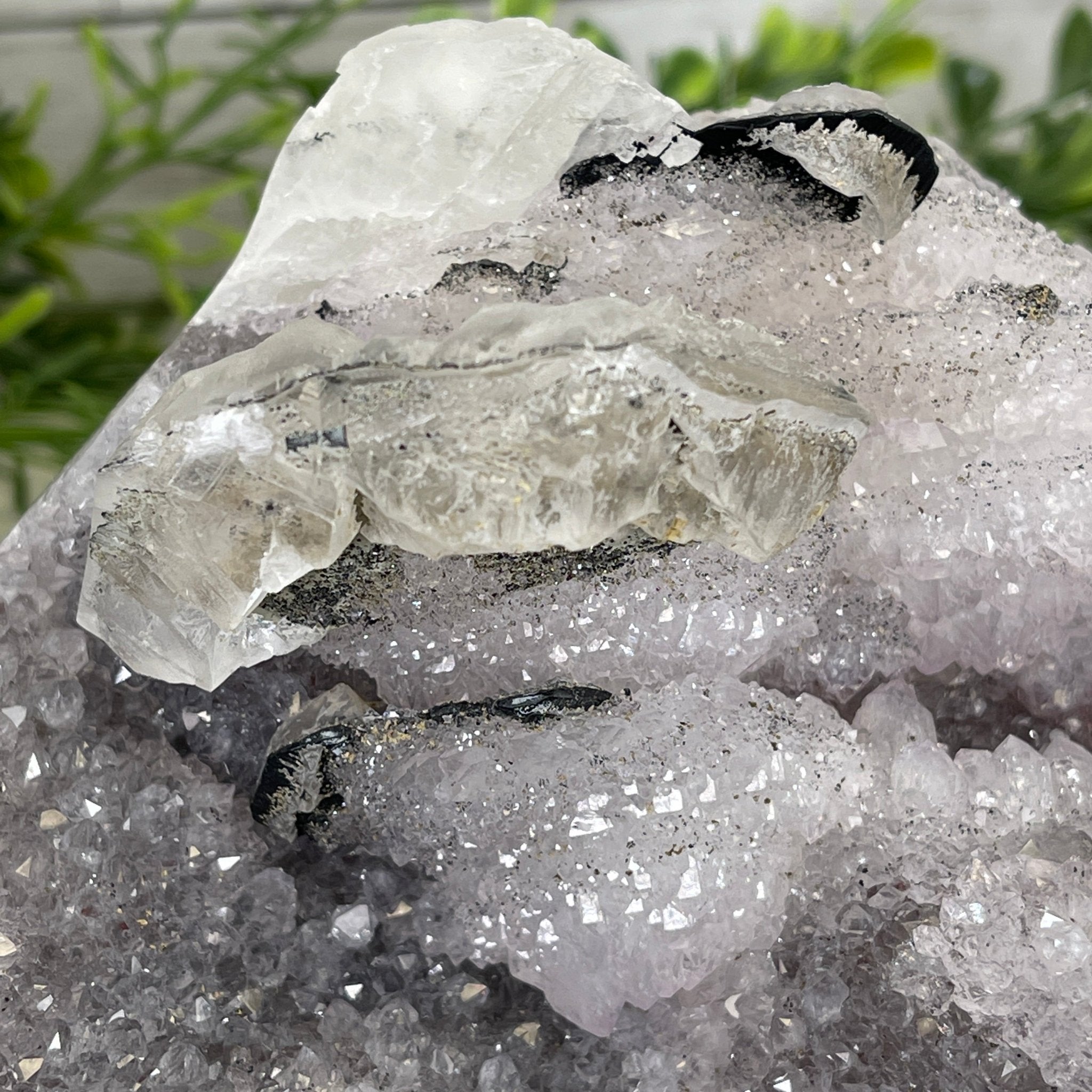 Super Quality Unique Uruguayan Amethyst Geode, 5.5” tall & 13.5 lbs #5520-0039 by Brazil Gems - Brazil GemsBrazil GemsSuper Quality Unique Uruguayan Amethyst Geode, 5.5” tall & 13.5 lbs #5520-0039 by Brazil GemsClusters: Unique & Freeform5520-0039