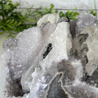 Super Quality Unique Uruguayan Amethyst Geode, 5.5” tall & 13.5 lbs #5520-0039 by Brazil Gems - Brazil GemsBrazil GemsSuper Quality Unique Uruguayan Amethyst Geode, 5.5” tall & 13.5 lbs #5520-0039 by Brazil GemsClusters: Unique & Freeform5520-0039