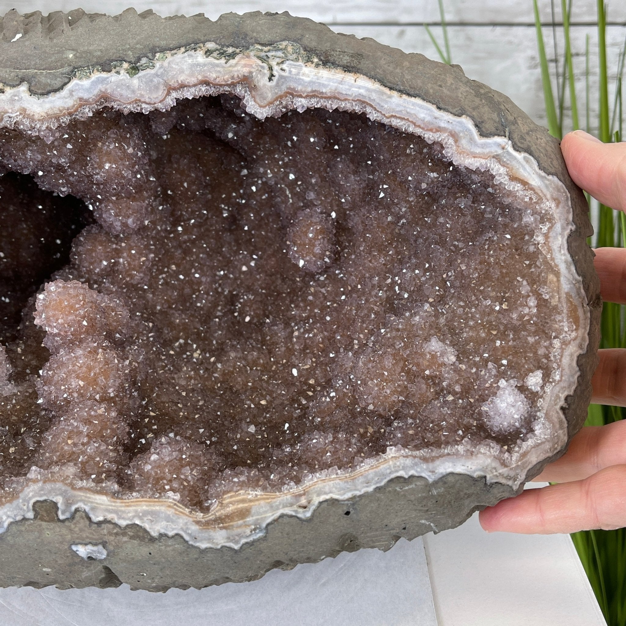Super Quality Unique Uruguayan Amethyst Geode, 7” tall & 26.9 lbs #5520-0045 by Brazil Gems - Brazil GemsBrazil GemsSuper Quality Unique Uruguayan Amethyst Geode, 7” tall & 26.9 lbs #5520-0045 by Brazil GemsClusters: Unique & Freeform5520-0045
