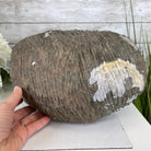 Super Quality Unique Uruguayan Amethyst Geode, 7” tall & 26.9 lbs #5520-0045 by Brazil Gems - Brazil GemsBrazil GemsSuper Quality Unique Uruguayan Amethyst Geode, 7” tall & 26.9 lbs #5520-0045 by Brazil GemsClusters: Unique & Freeform5520-0045