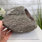 Super Quality Unique Uruguayan Amethyst Geode, 7” tall & 26.9 lbs #5520-0045 by Brazil Gems - Brazil GemsBrazil GemsSuper Quality Unique Uruguayan Amethyst Geode, 7” tall & 26.9 lbs #5520-0045 by Brazil GemsClusters: Unique & Freeform5520-0045