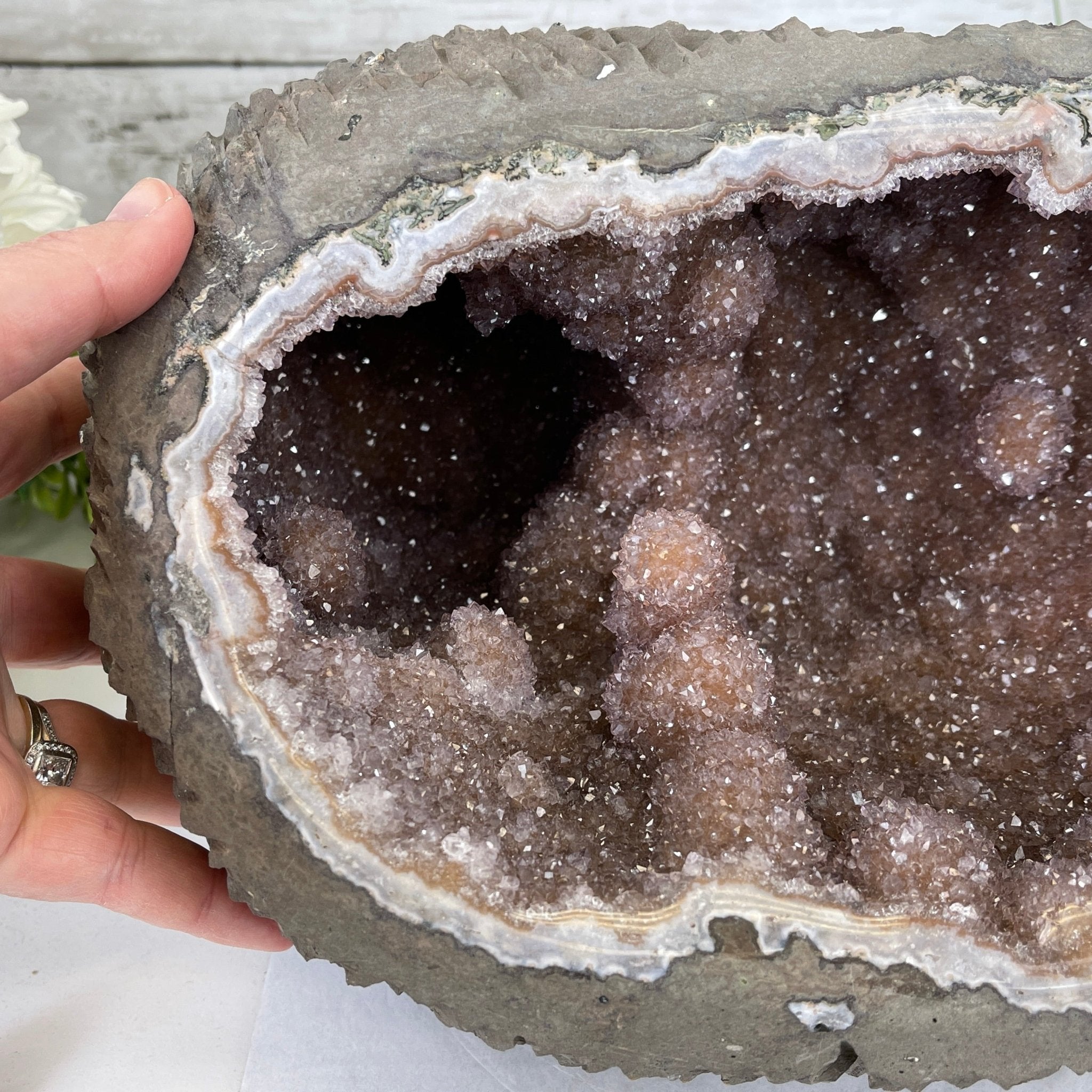 Super Quality Unique Uruguayan Amethyst Geode, 7” tall & 26.9 lbs #5520-0045 by Brazil Gems - Brazil GemsBrazil GemsSuper Quality Unique Uruguayan Amethyst Geode, 7” tall & 26.9 lbs #5520-0045 by Brazil GemsClusters: Unique & Freeform5520-0045