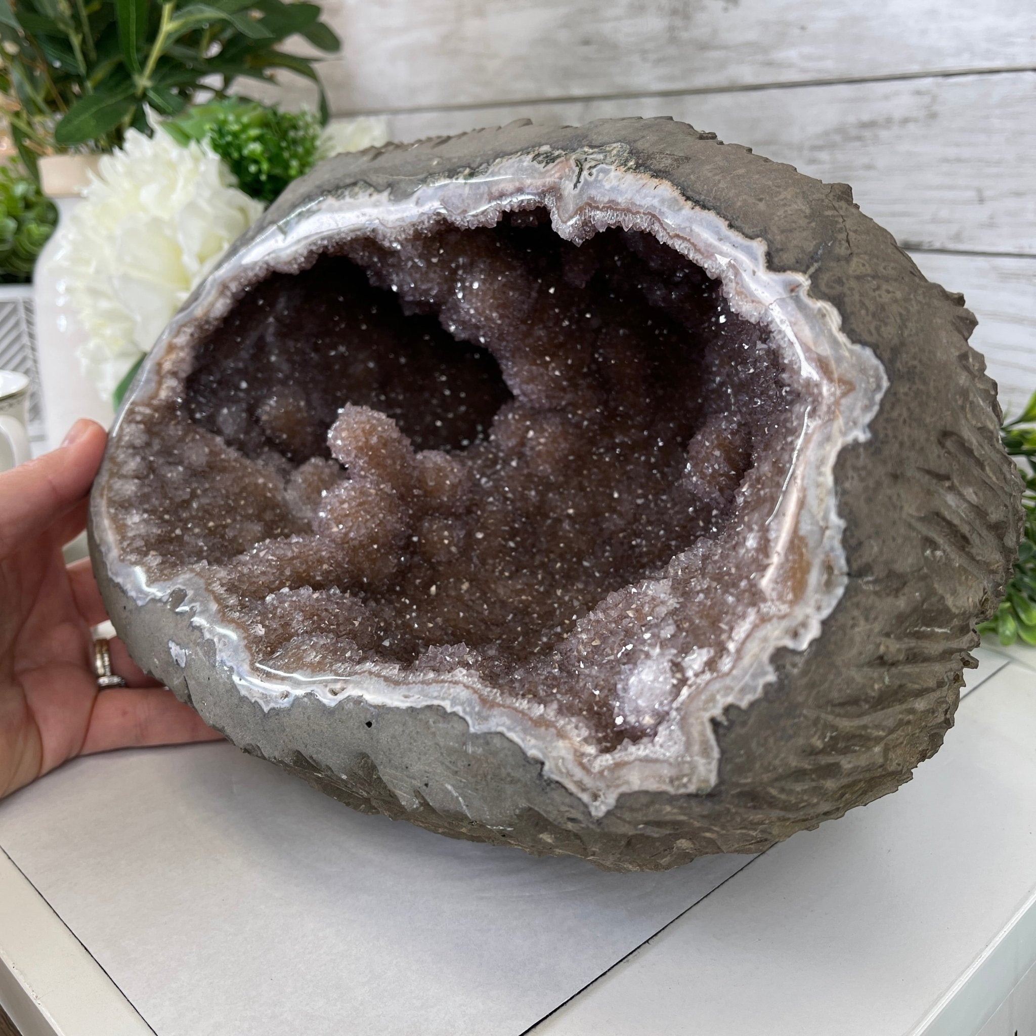 Super Quality Unique Uruguayan Amethyst Geode, 7” tall & 26.9 lbs #5520-0045 by Brazil Gems - Brazil GemsBrazil GemsSuper Quality Unique Uruguayan Amethyst Geode, 7” tall & 26.9 lbs #5520-0045 by Brazil GemsClusters: Unique & Freeform5520-0045