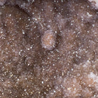 Super Quality Unique Uruguayan Amethyst Geode, 7” tall & 26.9 lbs #5520-0045 by Brazil Gems - Brazil GemsBrazil GemsSuper Quality Unique Uruguayan Amethyst Geode, 7” tall & 26.9 lbs #5520-0045 by Brazil GemsClusters: Unique & Freeform5520-0045