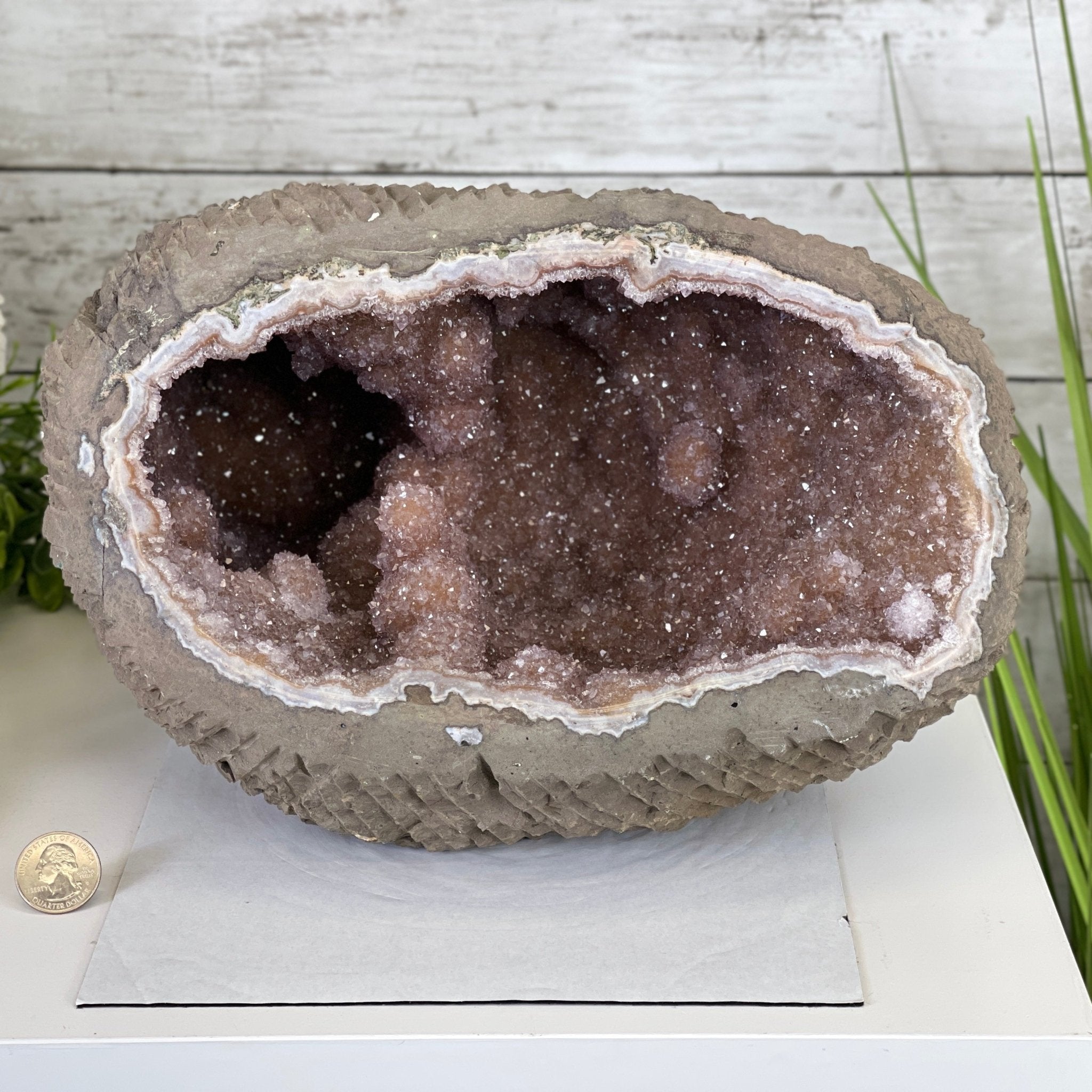 Super Quality Unique Uruguayan Amethyst Geode, 7” tall & 26.9 lbs #5520-0045 by Brazil Gems - Brazil GemsBrazil GemsSuper Quality Unique Uruguayan Amethyst Geode, 7” tall & 26.9 lbs #5520-0045 by Brazil GemsClusters: Unique & Freeform5520-0045