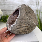 Super Quality Unique Uruguayan Amethyst Geode, 7” tall & 26.9 lbs #5520-0045 by Brazil Gems - Brazil GemsBrazil GemsSuper Quality Unique Uruguayan Amethyst Geode, 7” tall & 26.9 lbs #5520-0045 by Brazil GemsClusters: Unique & Freeform5520-0045