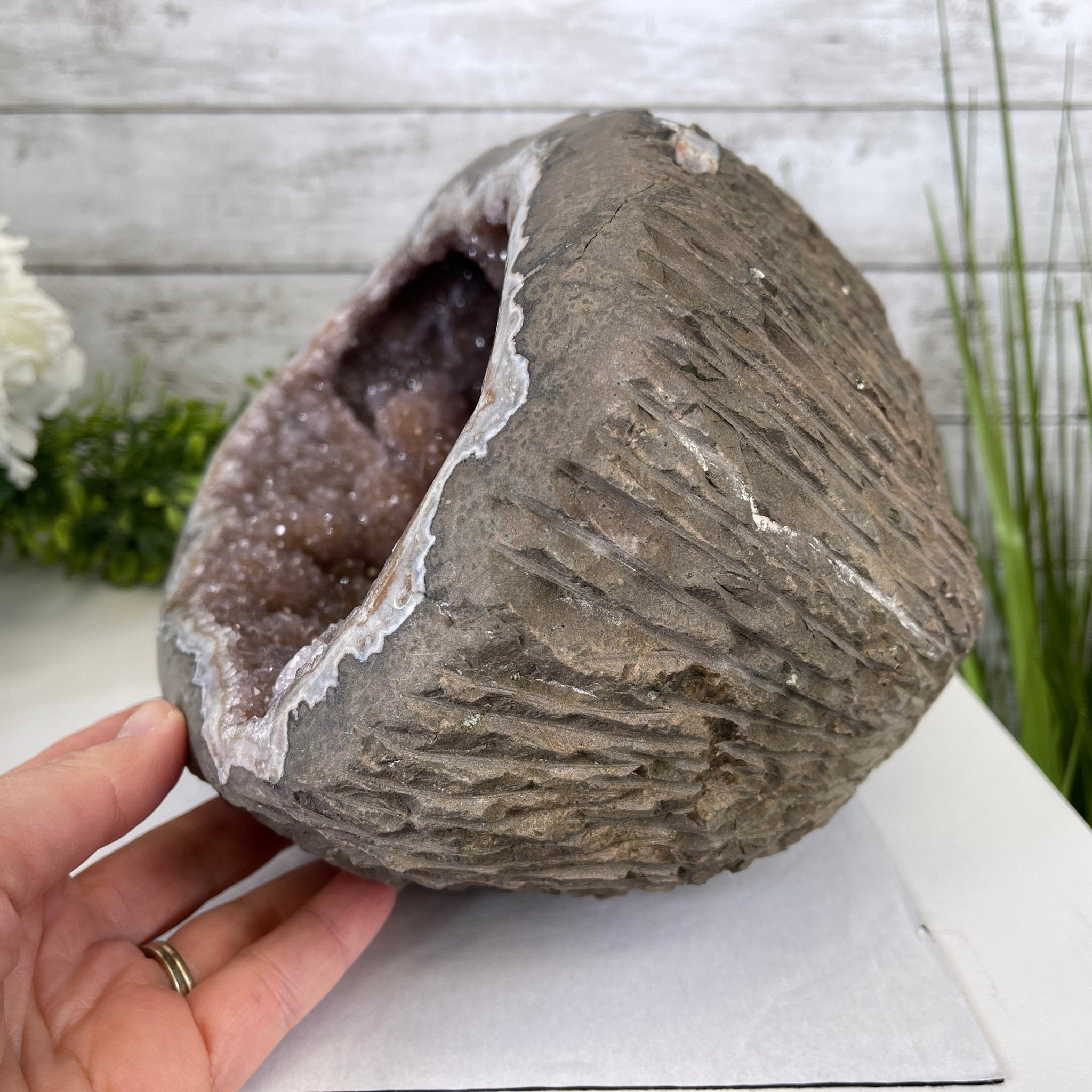 Super Quality Unique Uruguayan Amethyst Geode, 7” tall & 26.9 lbs #5520-0045 by Brazil Gems - Brazil GemsBrazil GemsSuper Quality Unique Uruguayan Amethyst Geode, 7” tall & 26.9 lbs #5520-0045 by Brazil GemsClusters: Unique & Freeform5520-0045