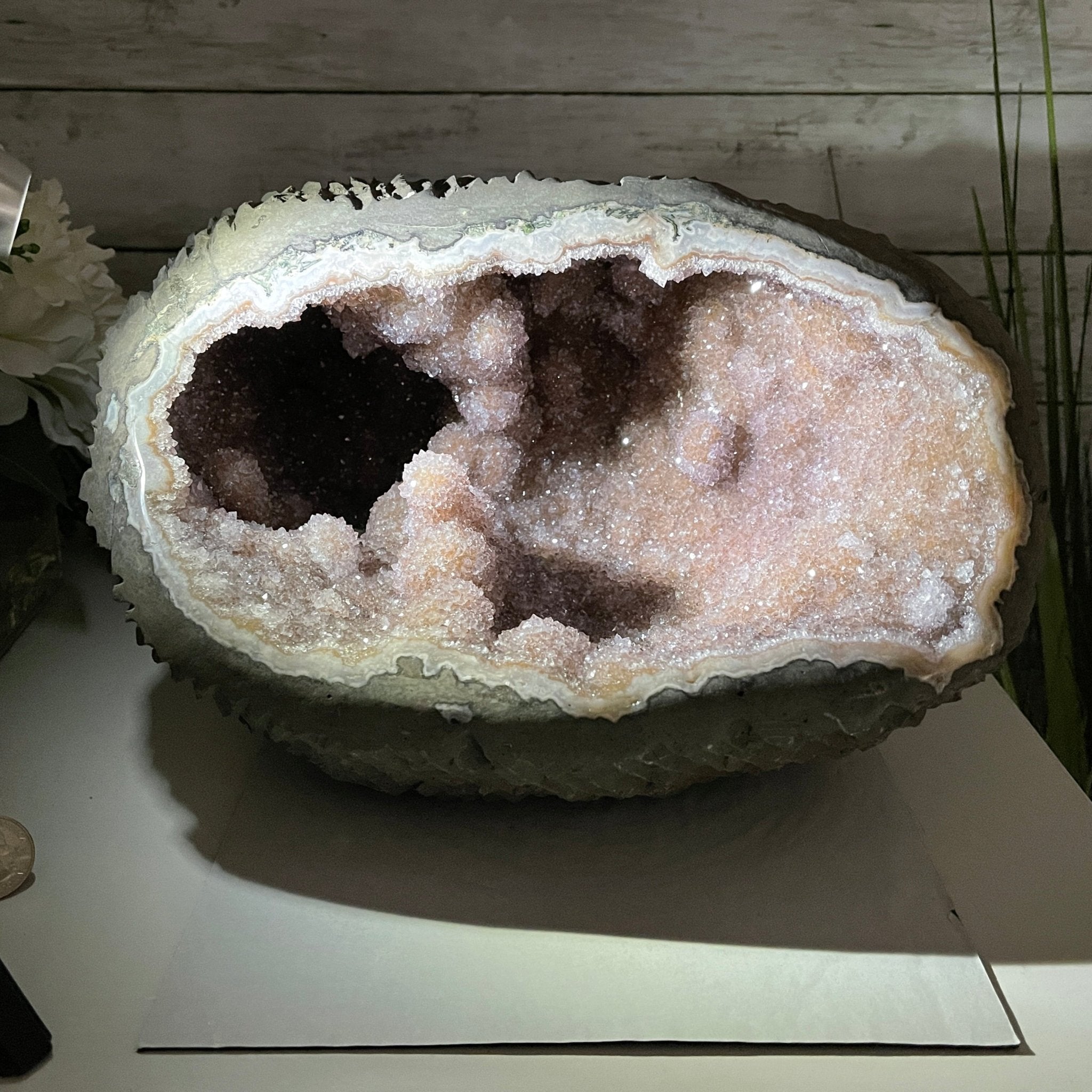 Super Quality Unique Uruguayan Amethyst Geode, 7” tall & 26.9 lbs #5520-0045 by Brazil Gems - Brazil GemsBrazil GemsSuper Quality Unique Uruguayan Amethyst Geode, 7” tall & 26.9 lbs #5520-0045 by Brazil GemsClusters: Unique & Freeform5520-0045