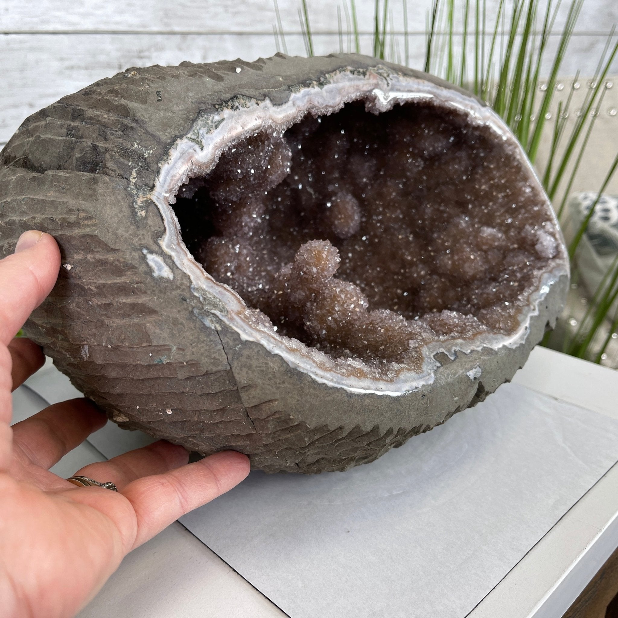 Super Quality Unique Uruguayan Amethyst Geode, 7” tall & 26.9 lbs #5520-0045 by Brazil Gems - Brazil GemsBrazil GemsSuper Quality Unique Uruguayan Amethyst Geode, 7” tall & 26.9 lbs #5520-0045 by Brazil GemsClusters: Unique & Freeform5520-0045