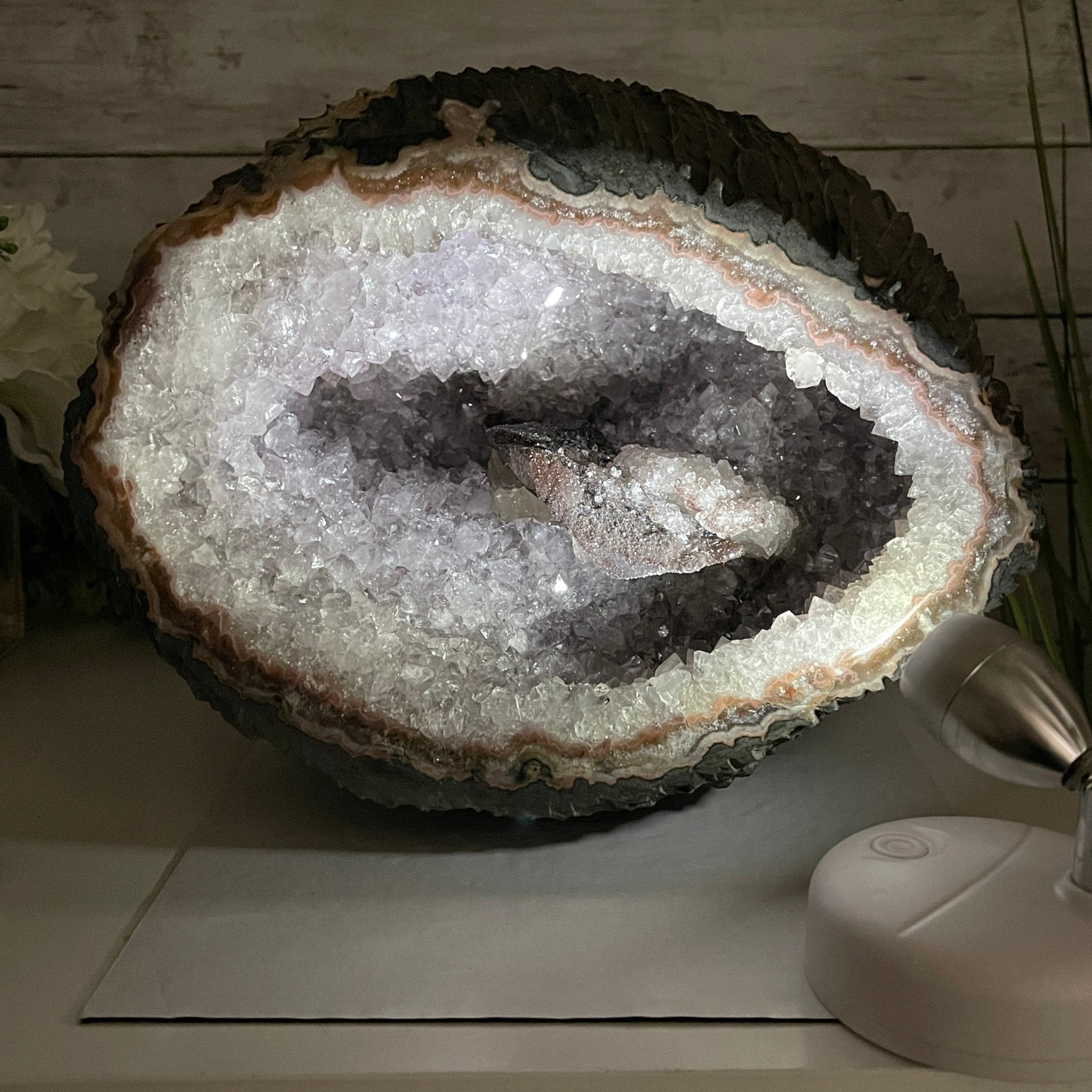 Super Quality Unique Uruguayan Amethyst Geode, 8.25” tall & 25 lbs #5520-0044 by Brazil Gems - Brazil GemsBrazil GemsSuper Quality Unique Uruguayan Amethyst Geode, 8.25” tall & 25 lbs #5520-0044 by Brazil GemsClusters: Unique & Freeform5520-0044