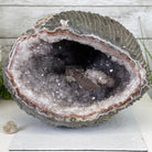 Super Quality Unique Uruguayan Amethyst Geode, 8.25” tall & 25 lbs #5520-0044 by Brazil Gems - Brazil GemsBrazil GemsSuper Quality Unique Uruguayan Amethyst Geode, 8.25” tall & 25 lbs #5520-0044 by Brazil GemsClusters: Unique & Freeform5520-0044
