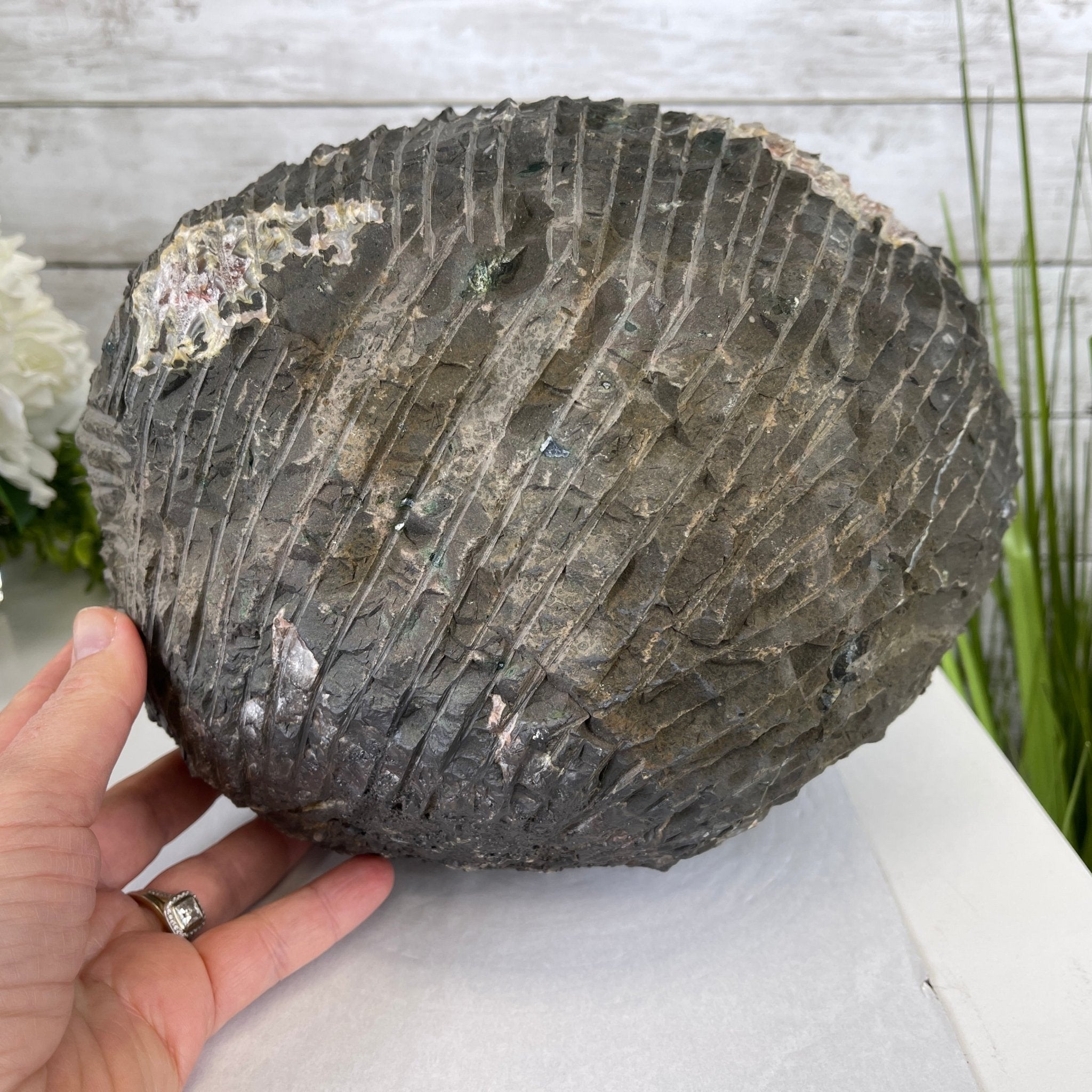 Super Quality Unique Uruguayan Amethyst Geode, 8.25” tall & 25 lbs #5520-0044 by Brazil Gems - Brazil GemsBrazil GemsSuper Quality Unique Uruguayan Amethyst Geode, 8.25” tall & 25 lbs #5520-0044 by Brazil GemsClusters: Unique & Freeform5520-0044