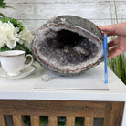 Super Quality Unique Uruguayan Amethyst Geode, 8.25” tall & 25 lbs #5520-0044 by Brazil Gems - Brazil GemsBrazil GemsSuper Quality Unique Uruguayan Amethyst Geode, 8.25” tall & 25 lbs #5520-0044 by Brazil GemsClusters: Unique & Freeform5520-0044