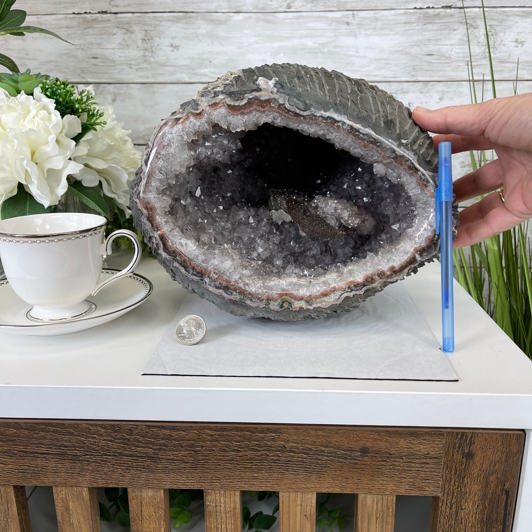 Super Quality Unique Uruguayan Amethyst Geode, 8.25” tall & 25 lbs #5520-0044 by Brazil Gems - Brazil GemsBrazil GemsSuper Quality Unique Uruguayan Amethyst Geode, 8.25” tall & 25 lbs #5520-0044 by Brazil GemsClusters: Unique & Freeform5520-0044